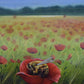 "Abeille dan un Coquelicot" LIMITED Giclee Print